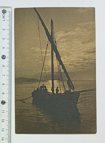 55488 2559 cartolina - 55488,