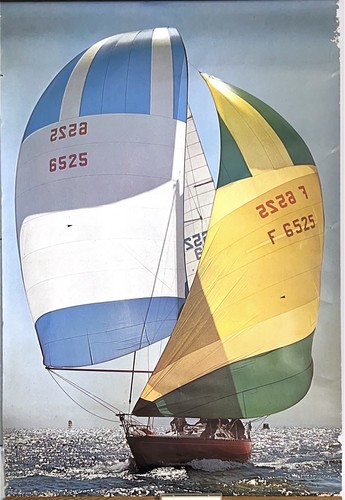 Poster barca vela spinnaker - poster,